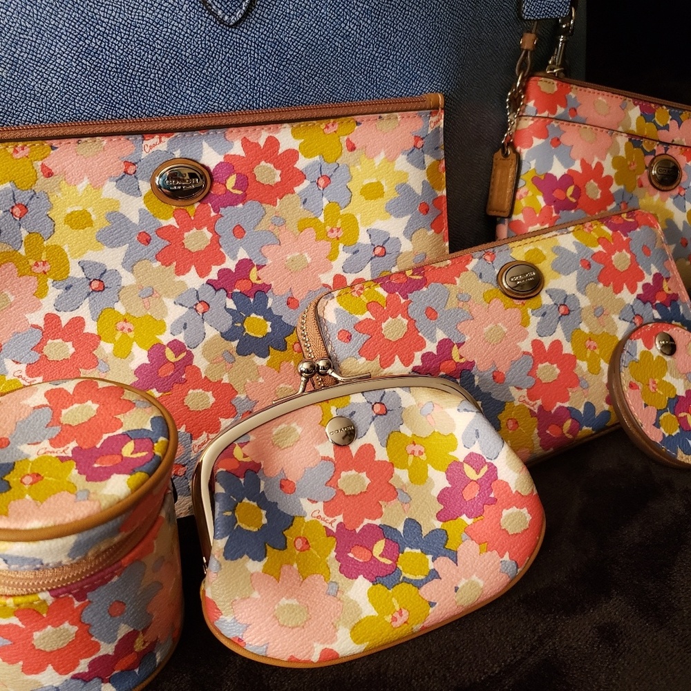 ISO matching purse/ponytail scare